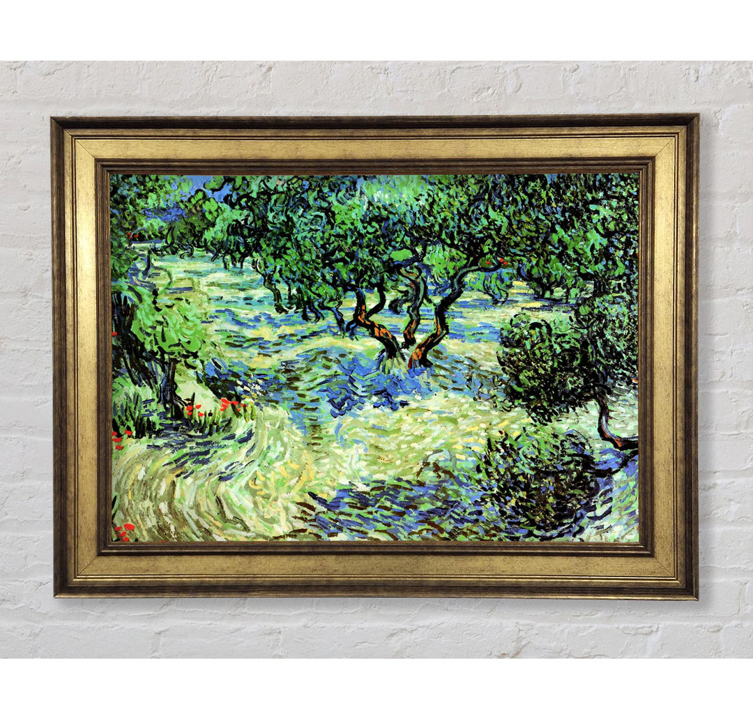 Van Gogh Olive Grove 2 - Einzelner Bilderrahmen Kunstdrucke