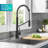 Oletto 2-in-1 Pull-Down Single Handle Kitchen Faucet-79074720