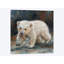«Polar Bear Baby», impression sur toile-72398472-72398477-33109696