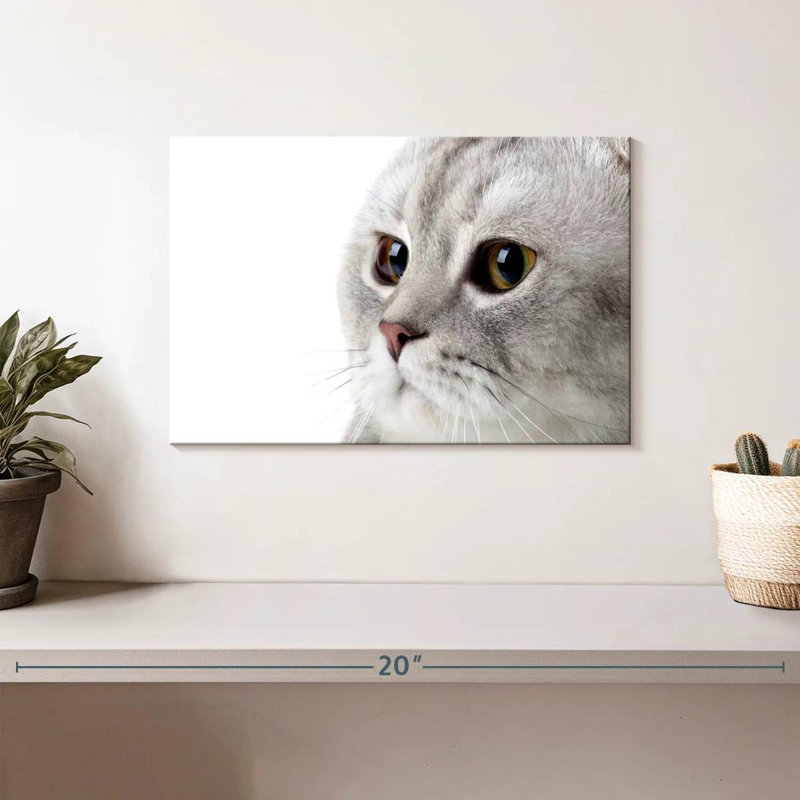 Crowle Fluffy Gray Cat, 8" H x 12" W