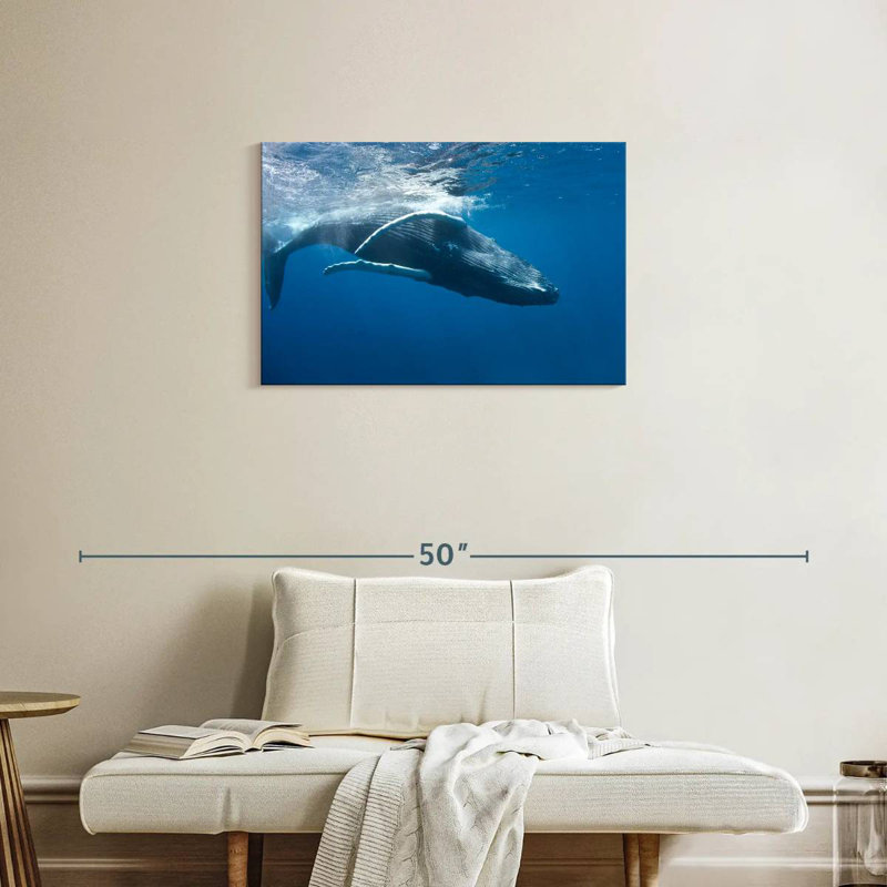 Brampt Humpback Whale, 20" H x 30" W