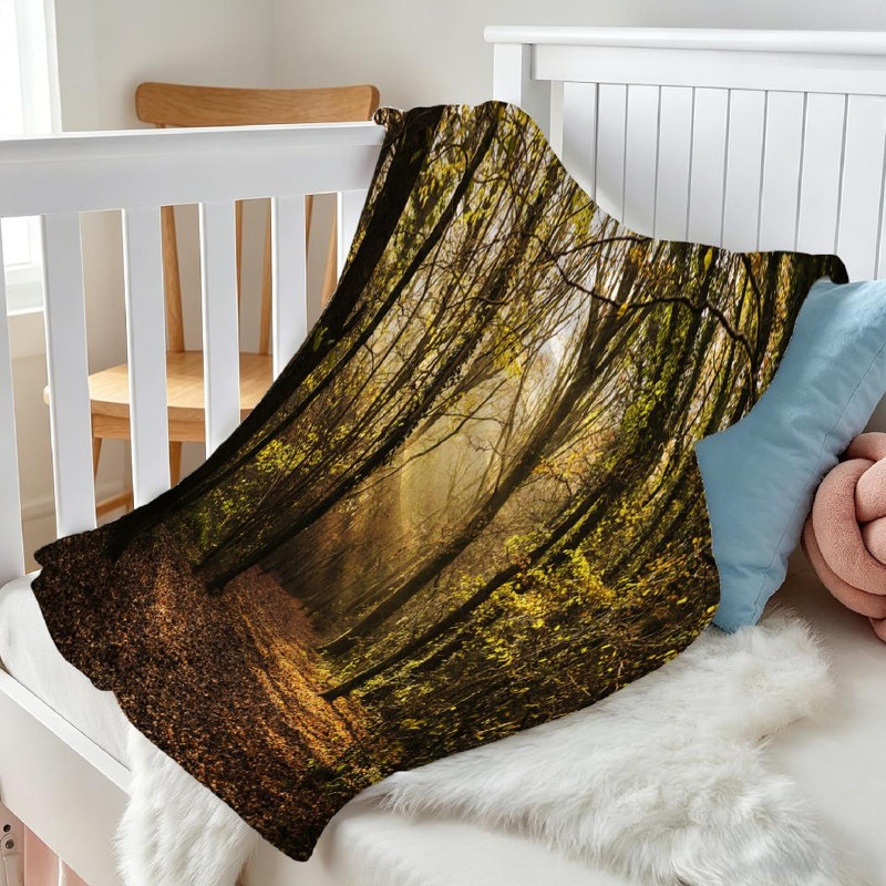 Jeté transparent en flanelle de polaire ultra douce, imprimé Misty Woodland Path, Jeté 30 po x 40 po