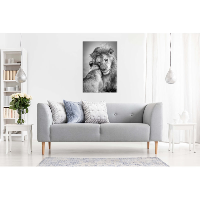 Lion And Lioness Couples Love - Wrapped Canvas Art Prints, 46cm H x 31cm W