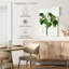Harnek Magnolia Glauca-108667515