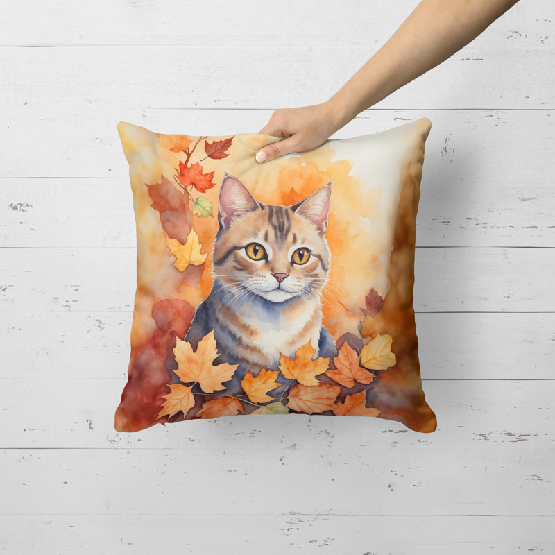 Coussin Raas, Carré 18 po