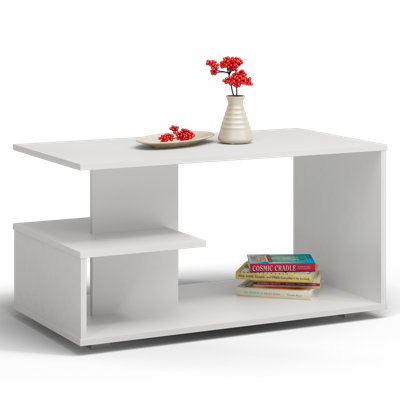 Littell Floor Shelf Coffee Table with Storage