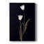 Tulipe Pose II - galerie sur mesure Cavas-118074132