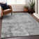  Machine Washable Indoor/Outdoor Chayden ACN1062 Rug