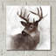 «Forest Deer» par Carol Robinson-1963630221