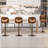 Adjustable Height Bar Stool (Set Of 4)-790869255