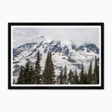 Mt. Rainier Treetops Print by Tim Klein