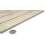 Terramor Avorio 12 po X 12 po Carreau de plancher et de mur en porcelaine polie (9,49 pieds carrés / caisse)-103410810