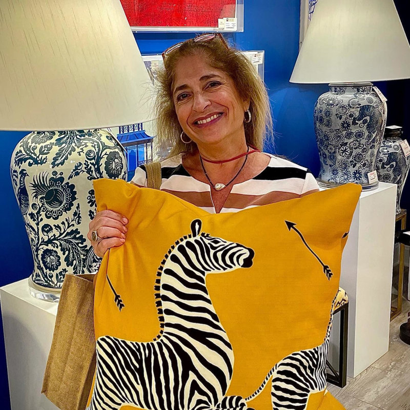 Zebras Square Indoor/Outdoor Pillow Cover & Insert, Masai Red