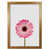 Honey Oak Frame is unavailable