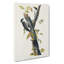 Three-Toed Woodpeckers by John James Audubon - Wrapped Canvas-55361701