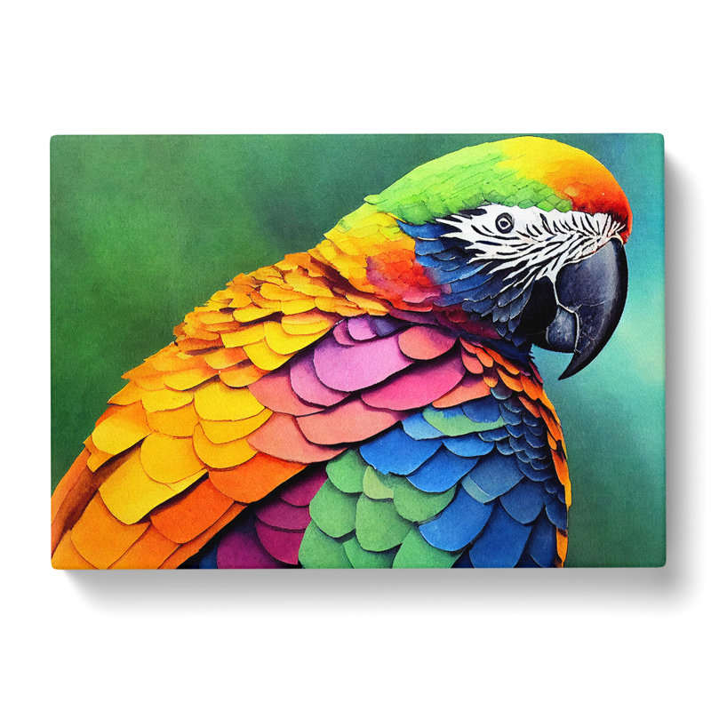 Colourful Parrot Vol.3 - Wrapped Canvas, 35cm H x 50cm W x 3cm D