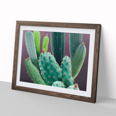 XH1022-10305X Wonderful Cactus - Single Picture Frame Print