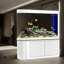 White Modern Semi-circular Eco Aquarium Tank-103007557