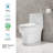 Ally Standard Bathroom Toielt, Modern Toilet with Comfort Chair Height Floor Mounted(Seat Included)-94078769-92475486