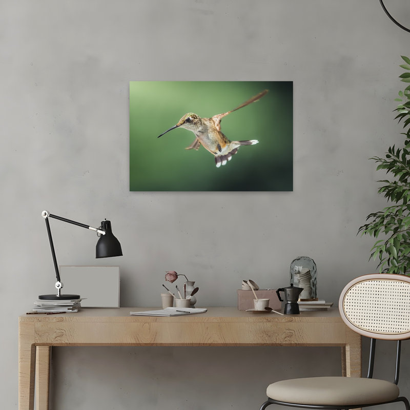 Colibri en vol, délicat, paisible et vibrant, oiseau de forêt, nature, affiche murale, H 16 po x l 24 po