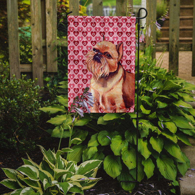 Drapeau de jardin Varastad, Griffon bruxellois