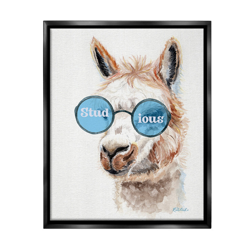 "Lama rigolo clouté" sur, Cadre flottant noir de jais, H 31 po x l 25 po