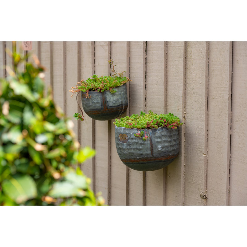 Euan Metal Wall Planter