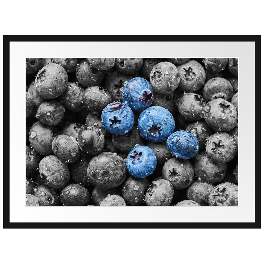 Blaubeeren mit Wassertröpfchen Gerahmter Fotodruck