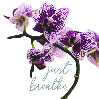 Breathe Orchids - Photographie sur toile tendue