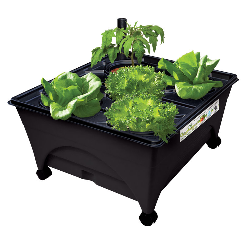 Chong Planter Box