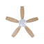 Asimakis 110cm Ceiling Fan with LED Lights