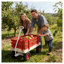 Chariot de chariot rouge en bois avec poignée pliante - Chariot utilitaire tout-terrain pour le camping et la plage-126257612