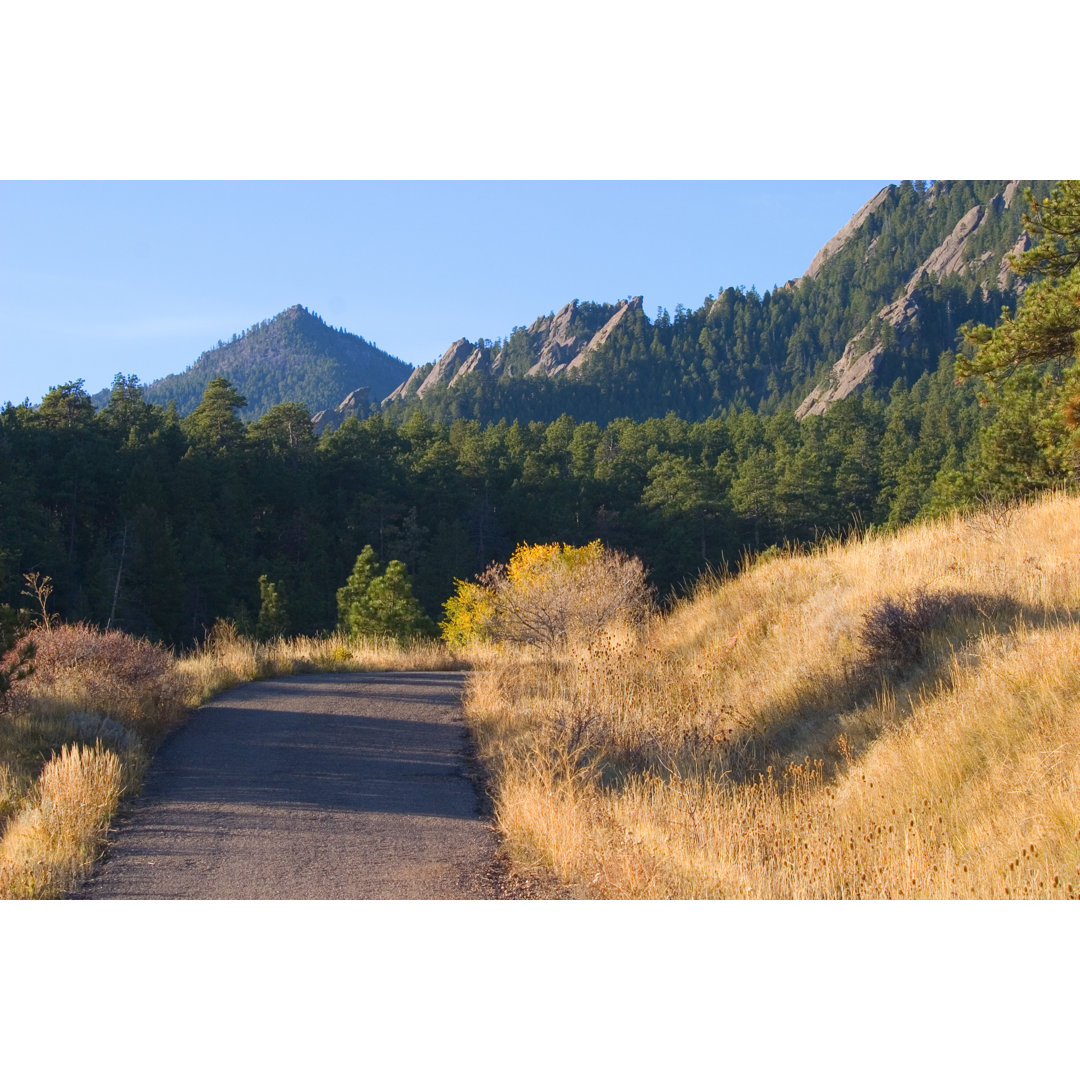 Bear Peak von SWKrullImaging - Druck auf Leinwand ohne Rahmen