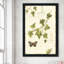 Ivies and Ferns II - Peinture-773136274-773136362