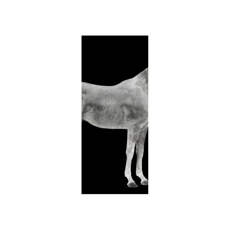 Twilight Cheval II Print by Austin Beiv, Glass Coat