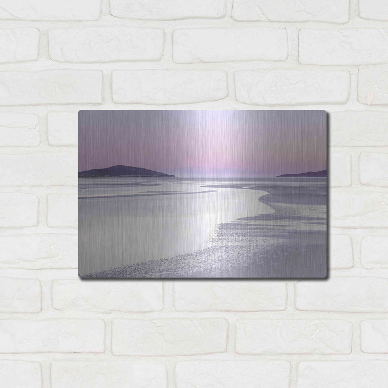 «Silver Silence» par Lynne Douglas - peinture sur métal sans cadre, H 12 po x l 16 po x P 0,13 po