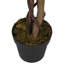 Faux Maple Tree in Pot-1385737940