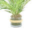Pot en verre Akeyah