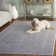 Calidia Floral Light Gray/Cream Area Rug