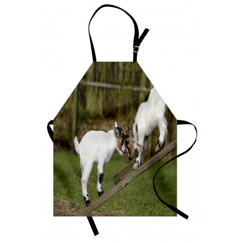 Bib Apron
