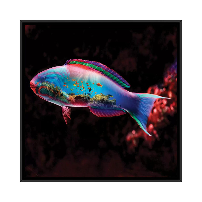 Fish by Paul Haag - Print on Canvas, Black Framed, 66.04 cm H x 66.04 cm W