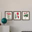 Roseat Blooms I - ensemble de 3 peintures sur toile encadrées-828588948-828588973