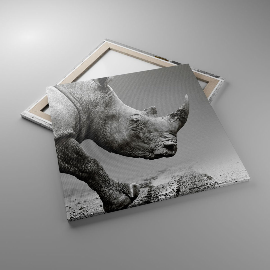 Leinwandbild Rhinoceros Monochrome Animal