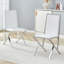 Ergonomic Dining Chairs with Unique Metal Legs-1994843443