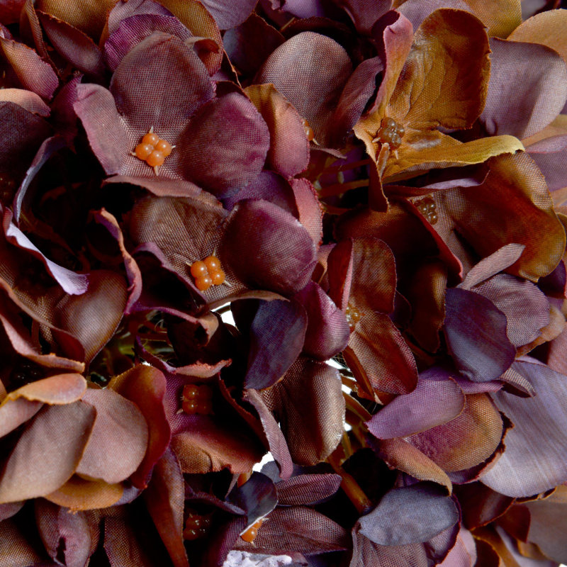 Anastasija Arrangement