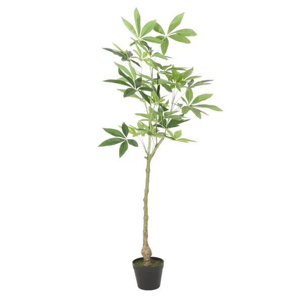 Arbre de pêche artificiel 47,2 pouces Pachira
