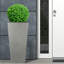 Plant Pot-795294480-788838800