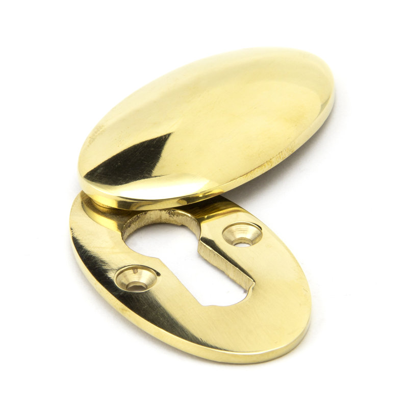 Escutcheon & Cover Door Accessory, Polished Brass