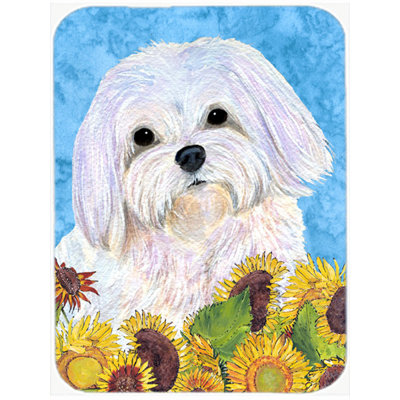 East Urban Home Maltese Glass Cutting Board
