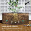 Metal Raised Garden Bed-449169149